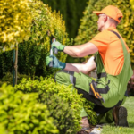 Make Your Outdoor Space More Inviting with These Essential Services