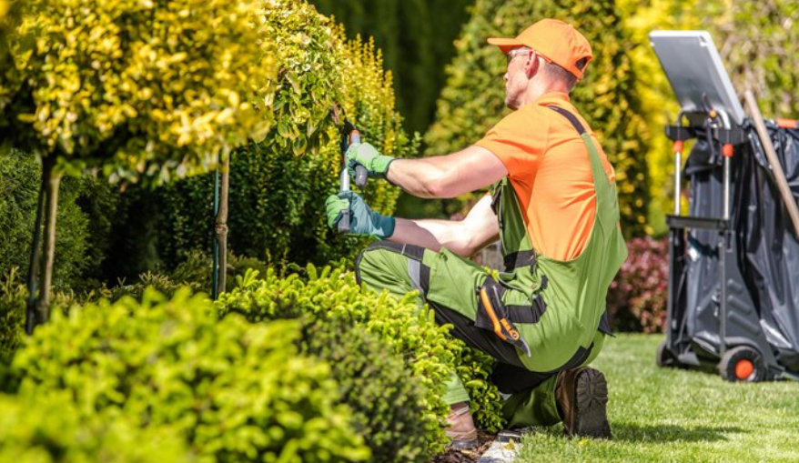 Make Your Outdoor Space More Inviting with These Essential Services