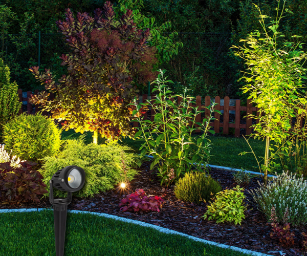 Benefits of Installing Spike Flowers