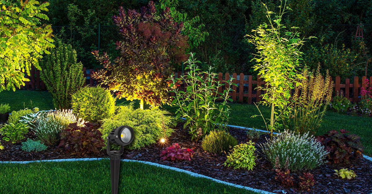 Benefits of Installing Spike Flowers